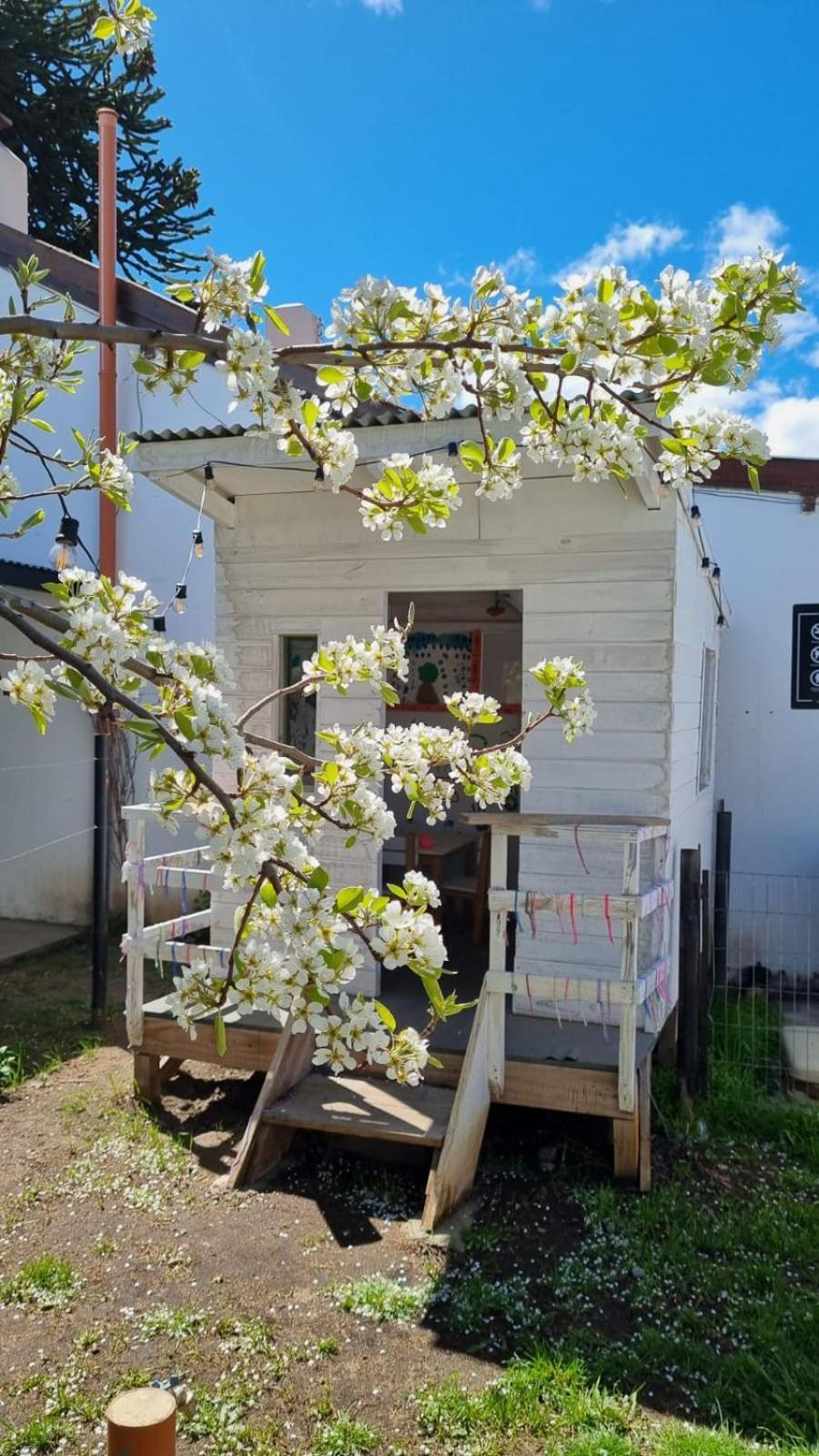 شقة Hol Gok Patagonia إيسكيل المظهر الخارجي الصورة